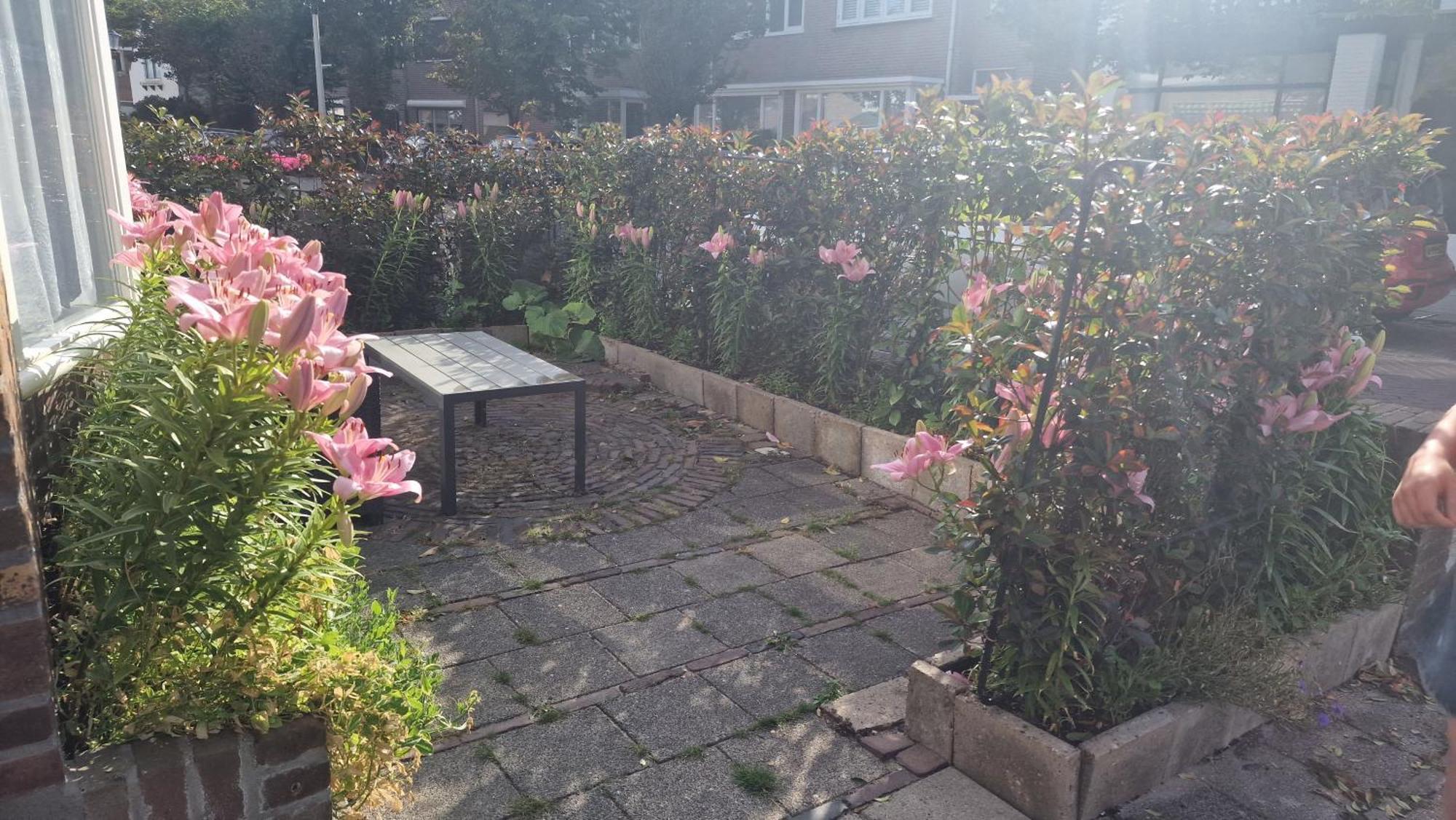 Guesthouse Zandvoort Kültér fotó