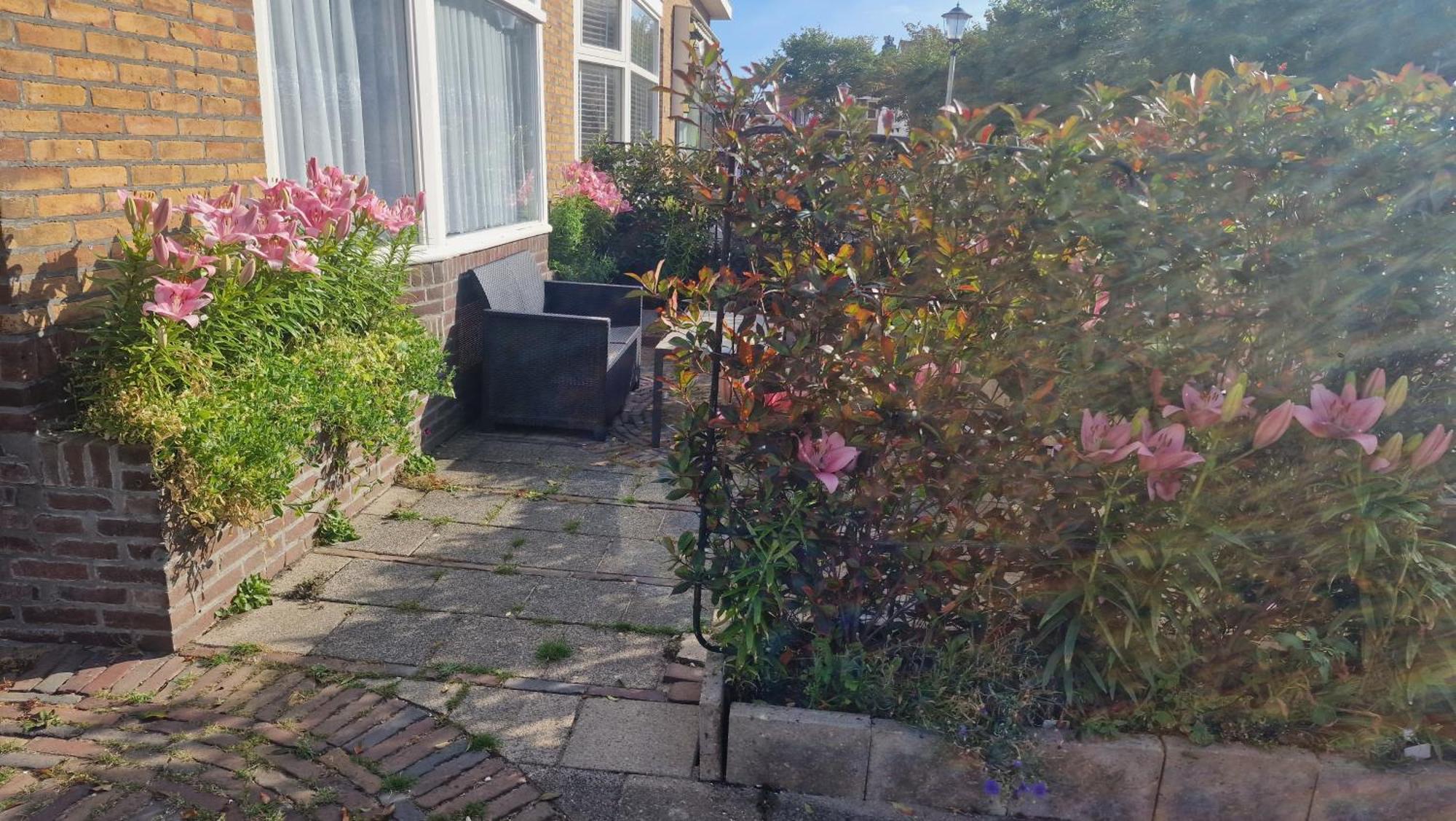 Guesthouse Zandvoort Kültér fotó
